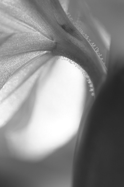 e0046147_2132144.jpg