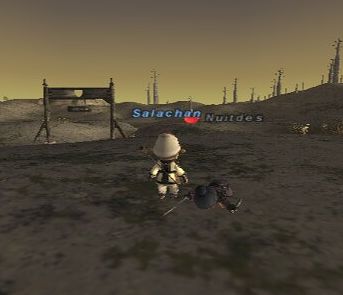 e0012954_754644.jpg