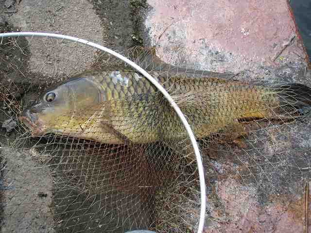 f0073059_037211.jpg