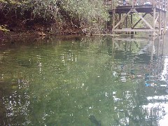 d0014975_7485891.jpg
