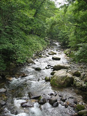 a0038882_10402780.jpg