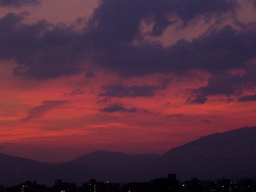 b0080789_205349100.jpg