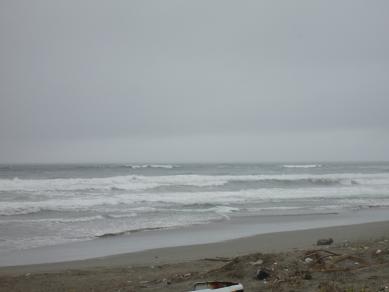 e0080089_23515945.jpg