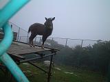 b0092794_0113110.jpg
