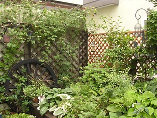 f0051194_9112889.jpg