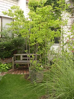 f0051194_9252364.jpg
