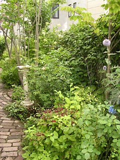 f0051194_9255988.jpg