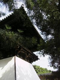 c0012496_23252866.jpg