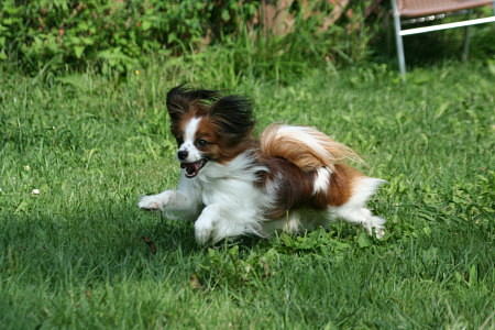 c0044199_1612514.jpg
