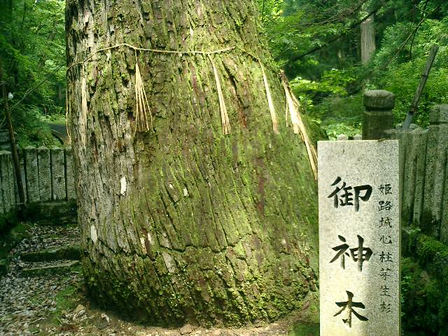 f0001203_18301198.jpg