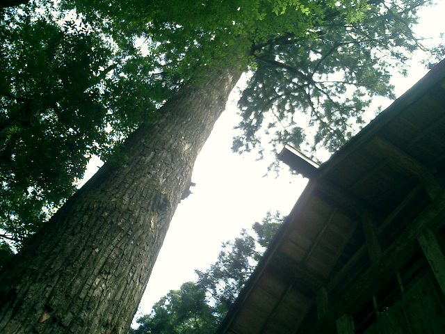 f0001203_18302594.jpg