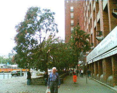 f0021504_3224876.jpg