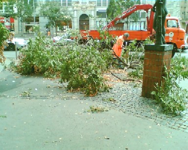 f0021504_3235185.jpg