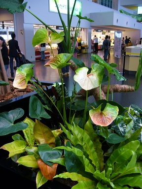 f0065604_20101276.jpg