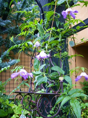 f0065604_2044131.jpg