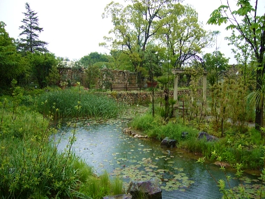 f0065604_2083686.jpg