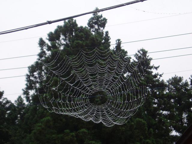 c0086014_6485060.jpg