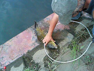 a0049715_1462111.jpg