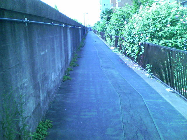 a0077616_1163860.jpg