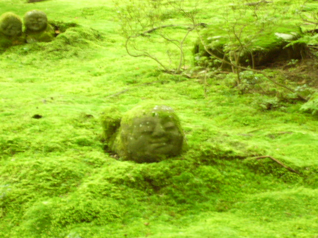 f0063920_7492217.jpg