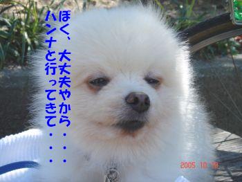 c0087521_13413250.jpg