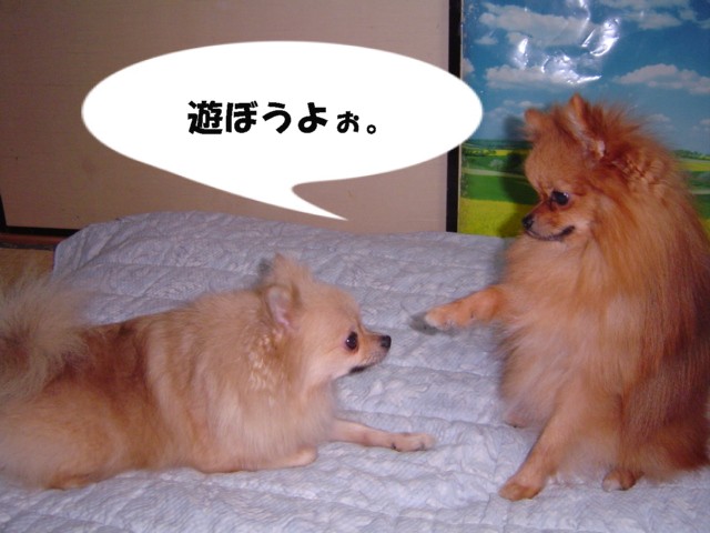 f0012924_4195850.jpg