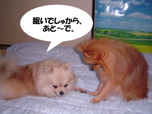 f0012924_4201019.jpg