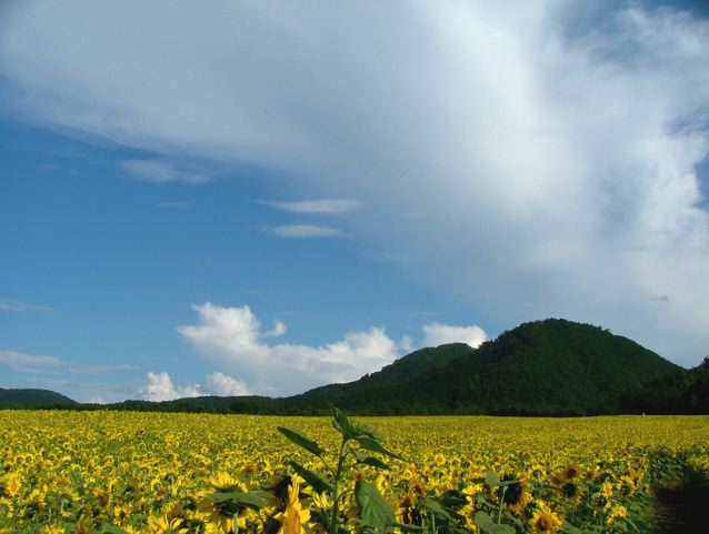 a0057237_1353535.jpg