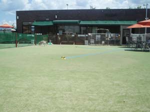 b0056138_054661.jpg