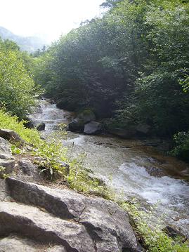 f0065941_10472818.jpg