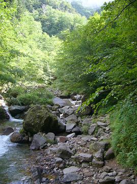 f0065941_10474981.jpg