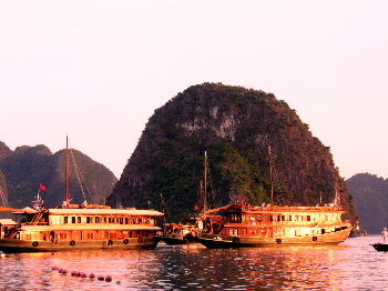 a0003150_15402535.jpg