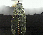 c0028664_04284.jpg