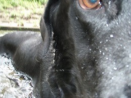 b0003270_223154100.jpg