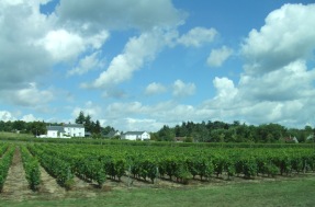 f0007587_2022929.jpg