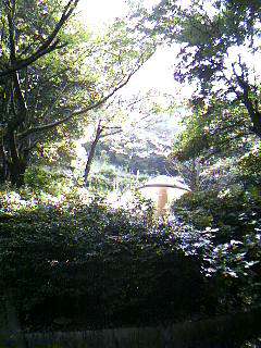 a0040792_17233773.jpg