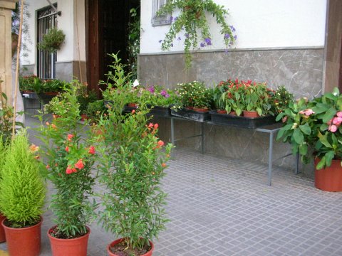 e0061699_721381.jpg