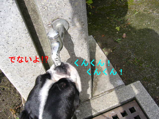 d0070702_22584621.jpg