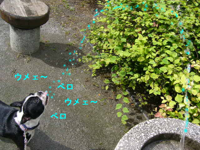 d0070702_234137.jpg