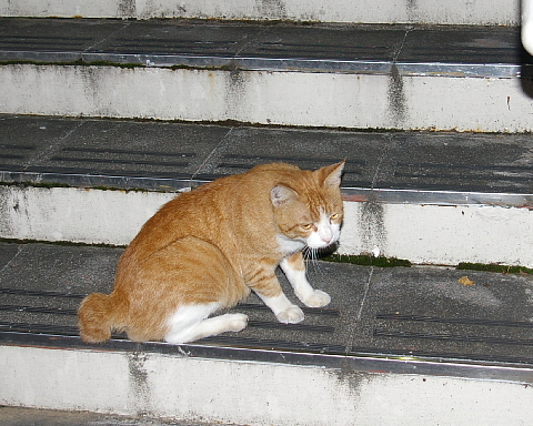a0024005_3585329.jpg