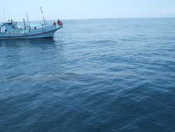 f0048405_20205923.jpg