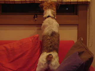 f0080105_20432841.jpg