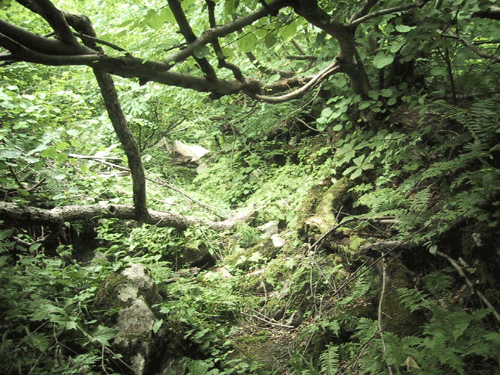 d0015006_13441127.gif
