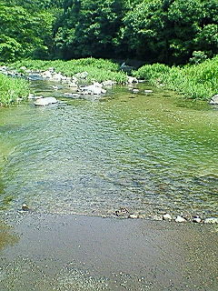 e0060706_2165954.jpg
