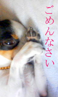 e0032508_23102672.jpg