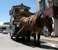 f0108112_215655.jpg