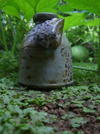 f0018417_10135016.jpg