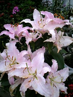 e0016828_22542014.jpg
