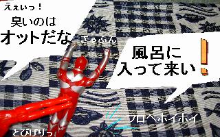 a0048531_9475453.jpg
