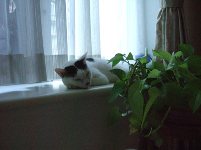 c0048042_8233765.jpg